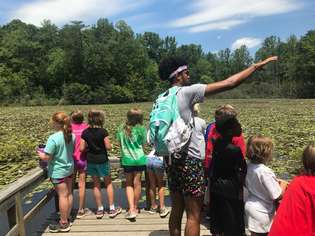 group of children exploring the Beaver Pond