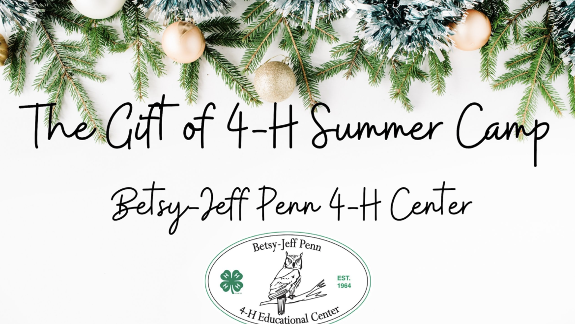 The Gift of 4-H Summer Camp
