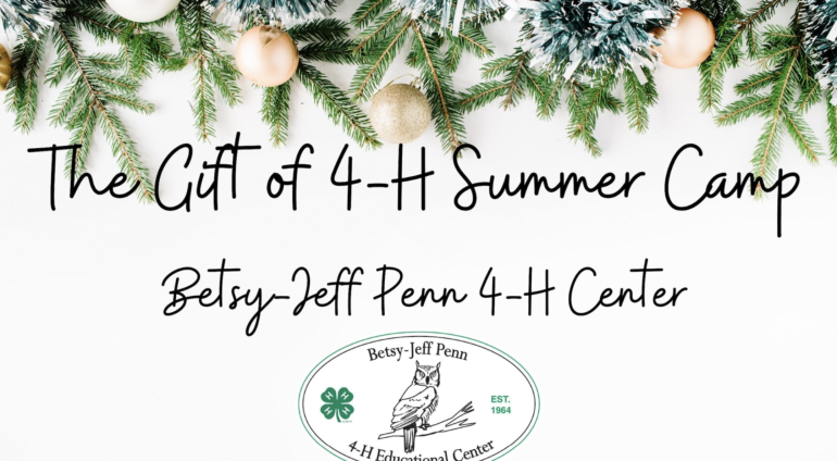 The Gift of 4-H Summer Camp